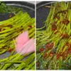 Gampang dan Enak, Ini Dia Resep Sate Kangkung yang Lagi Viral