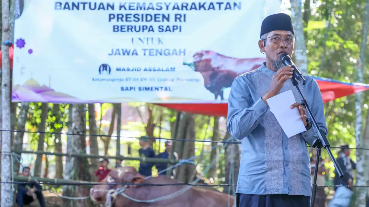 36 Sapi Kurban Presiden RI Dibagi di Jateng, Sekda: Bentuk Apresiasi Peternak Lokal