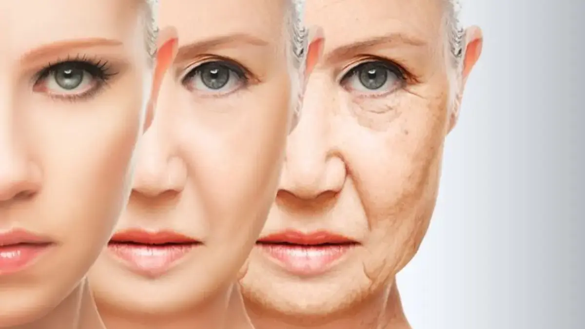 Mengandung Retinol, 7 Makanan Ini Bisa Jadi Rekomendasi Buat Jaga Kesehatan Kulit Kamu dan Bikin Awet Muda!