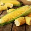 Tidak Hanya Enak, Ini Dia Manfaat yang Bakal Kamu Dapatkan Dengan Mengkonsumsi Jagung Secara Rutin