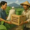 Bantuan Saprodi dan Sarana Tani Jadi Harapan Baru Petani Tembakau Sumedang