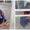 Gerbang Terkunci, Damkar Tanjungsari Bantu Mahasiswi Masuk Rumah Baru