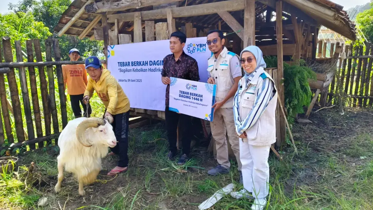 Tebar Kebahagiaan Momen Idul Adha, YBM PLN dan PLN UP3 Sumedang Salurkan 2 Ekor Domba di Dusun Buniasih