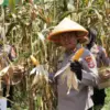 Kapolres Sumedang Panen Raya Bersama Presiden RI dan Kapolri 