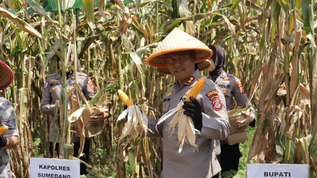 Kapolres Sumedang Panen Raya Bersama Presiden RI dan Kapolri 