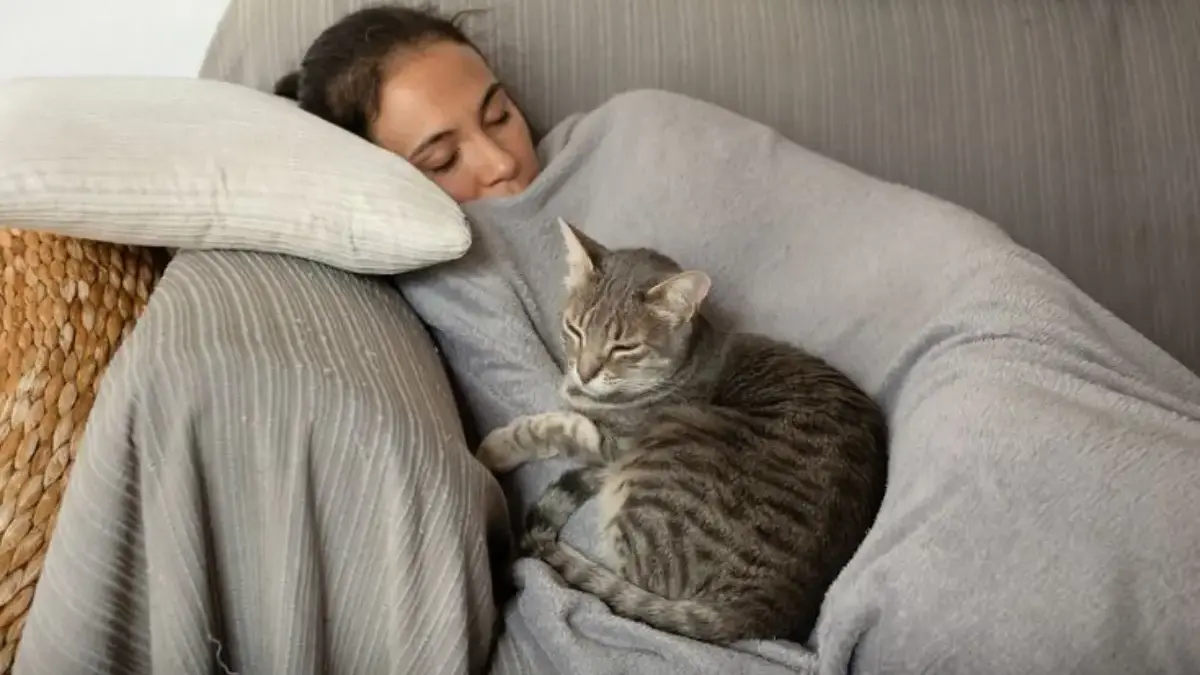 5 Manfaat Luar Biasa yang Bisa Kamu Dapatkan dengan Tidur Siang Sejenak