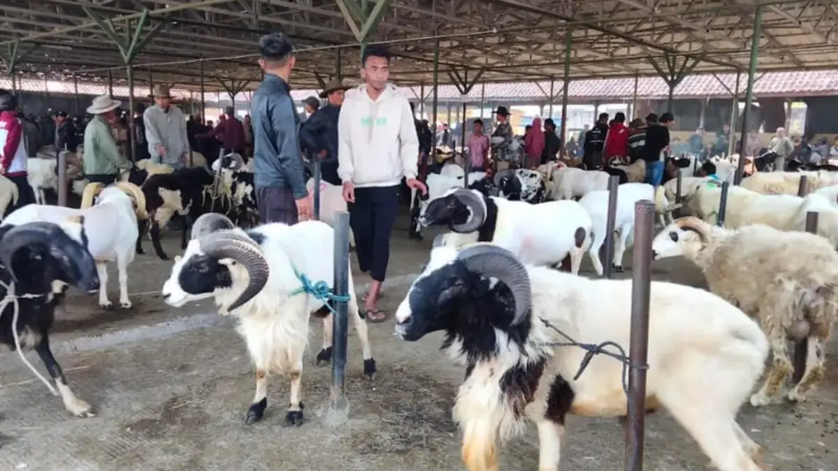Pembeli di Pasar Hewan Menurun