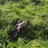 Liburan Berujung Maut, Seorang Pemuda Tewas Setelah Motor yang Dikendarainya Jatuh ke Jurang