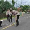 Diduga Mabuk, Pemotor Tabrak Truk