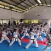 Pelatihan Penyusunan Program Long-term Athlete Development Berbasis DAP untuk Pelatih Karate se-Jawa Barat