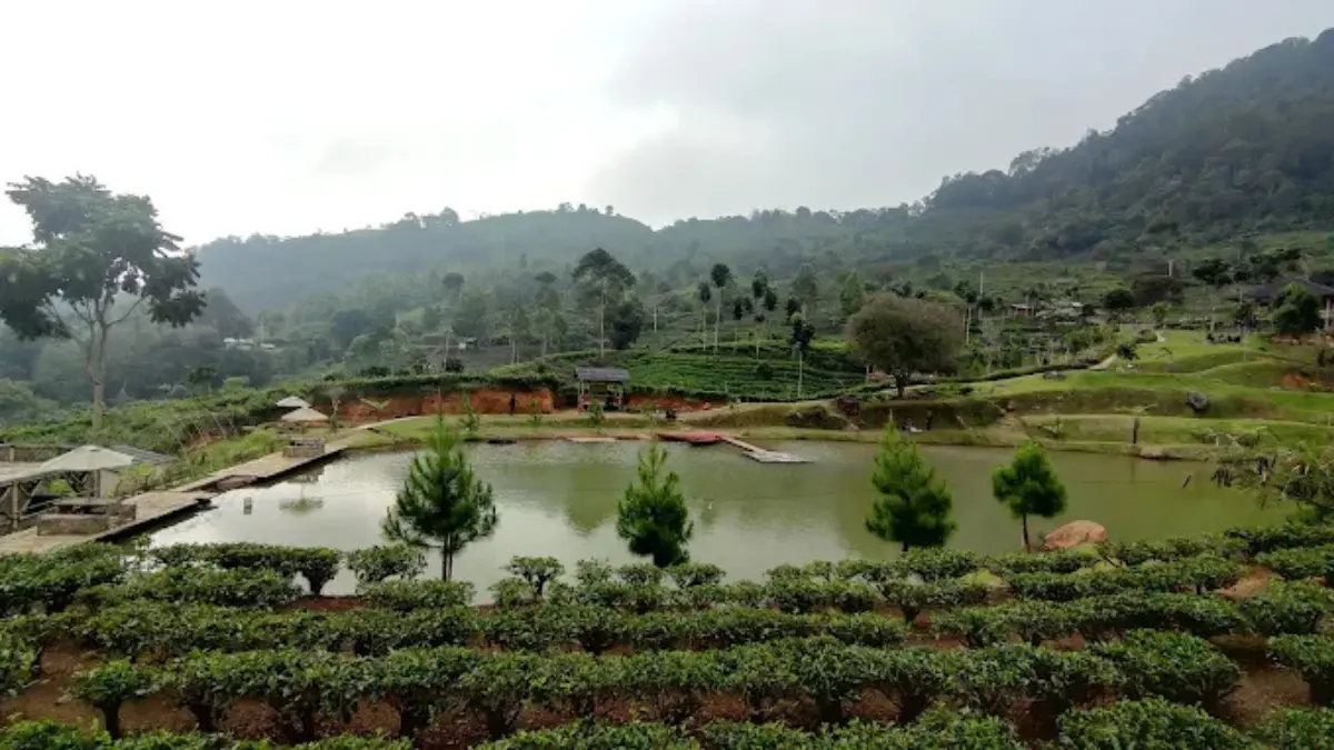 POV: Lahir di Sumedang Bagian Premium, Panorama Alam Pegunungan yang Indah (tatang/google maps)