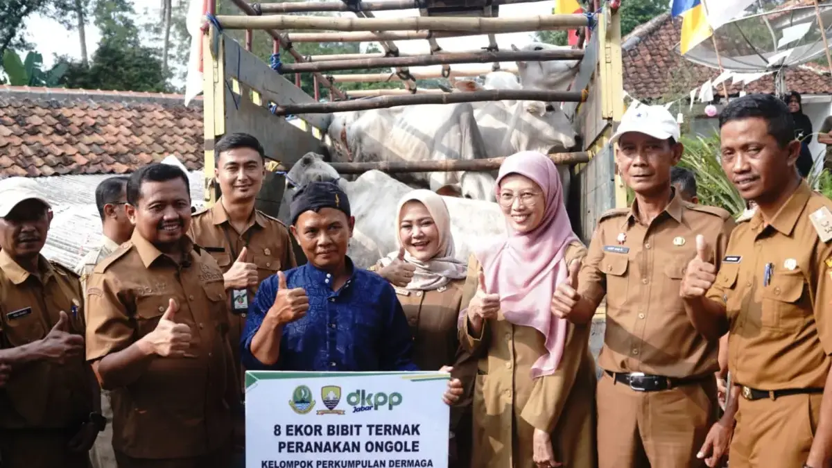 Kelompok Ternak di Cikurubuk Terima Hibah 8 Ekor Sapi dari Pemprov Jabar