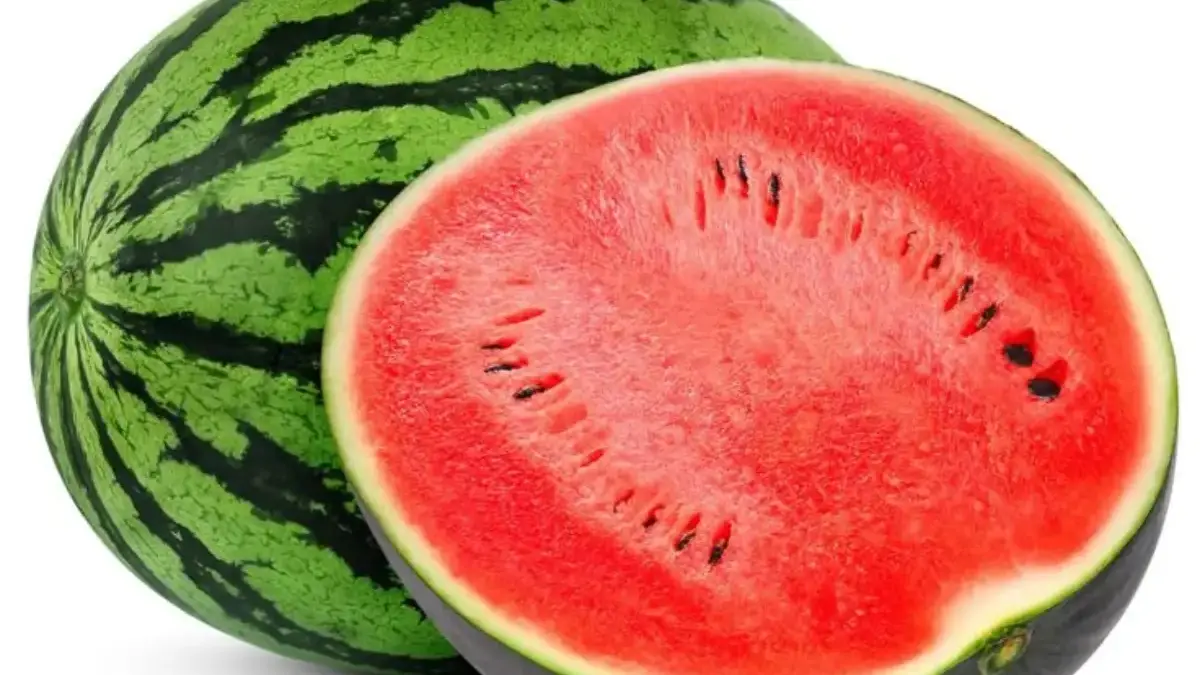 Rahasia Sehat di Balik Kesegaran Buah Semangka