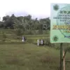 Pesantren Asy-Syifaa Wal Mahmuudiyyah Segera Dibangun