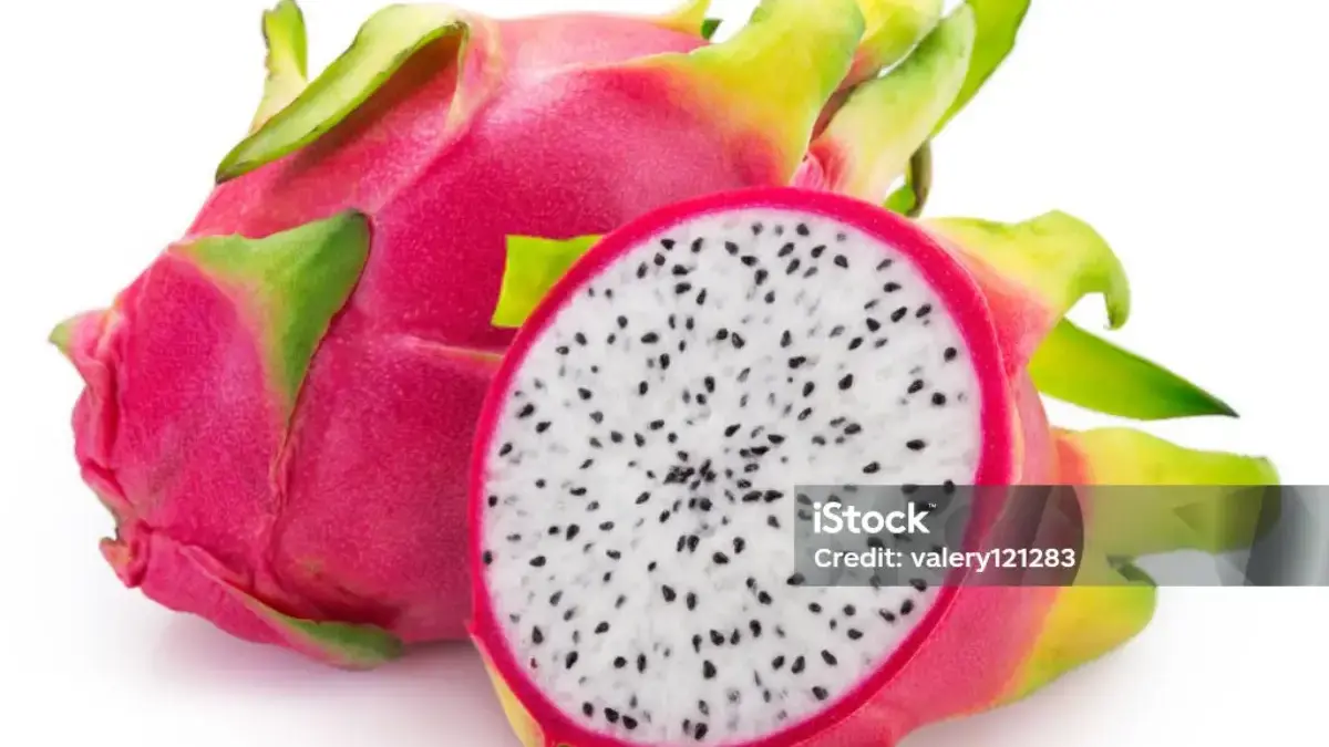 Manfaat Buah Naga Bagi Kesehatan