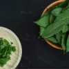 Daun Salam, Si Kecil dengan Manfaat Kesehatan yang Besar