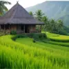 Wisata Kampung Karuhun Memikat Hati Pengunjung