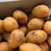 Combro Makanan Ciri Khas Sumedang Memiliki Cita Rasa Yang Membuat Ketagihan