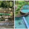 Kampoeng Ciherang Sumedang, Wisata Alam di Hutan Pinus: Harga Tiket, Alamat, Jam Buka, Daya Tarik