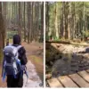 Mengintip Harga Tiket Kampoeng Ciherang Sumedang, Wisata Alam Favorit Keluarga