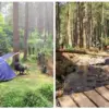 Sering Bikin Nyasar, Ini Alamat dan Ruter ke Kampoeng Ciherang Sumedang yang Benar