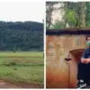 Rute ke Gunung Palasari Sumedang: Panduan Lengkap untuk Pendaki dan Wisatawan