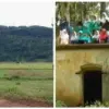 Daya Tarik Wisata Gunung Palasari Sumedang, Surga Tersembunyi di Alam Priangan