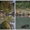 Jam Buka Mata Air Cikandung Sumedang, Panduan Liburan Nyaman di Alam Terbuka