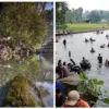 Ini Alasan Kamu Wajib Berkunjung ke Mata Air Cikandung Sumedang