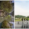 Tips Berkunjung ke Mata Air Cikandung Sumedang agar Liburan Makin Nyaman