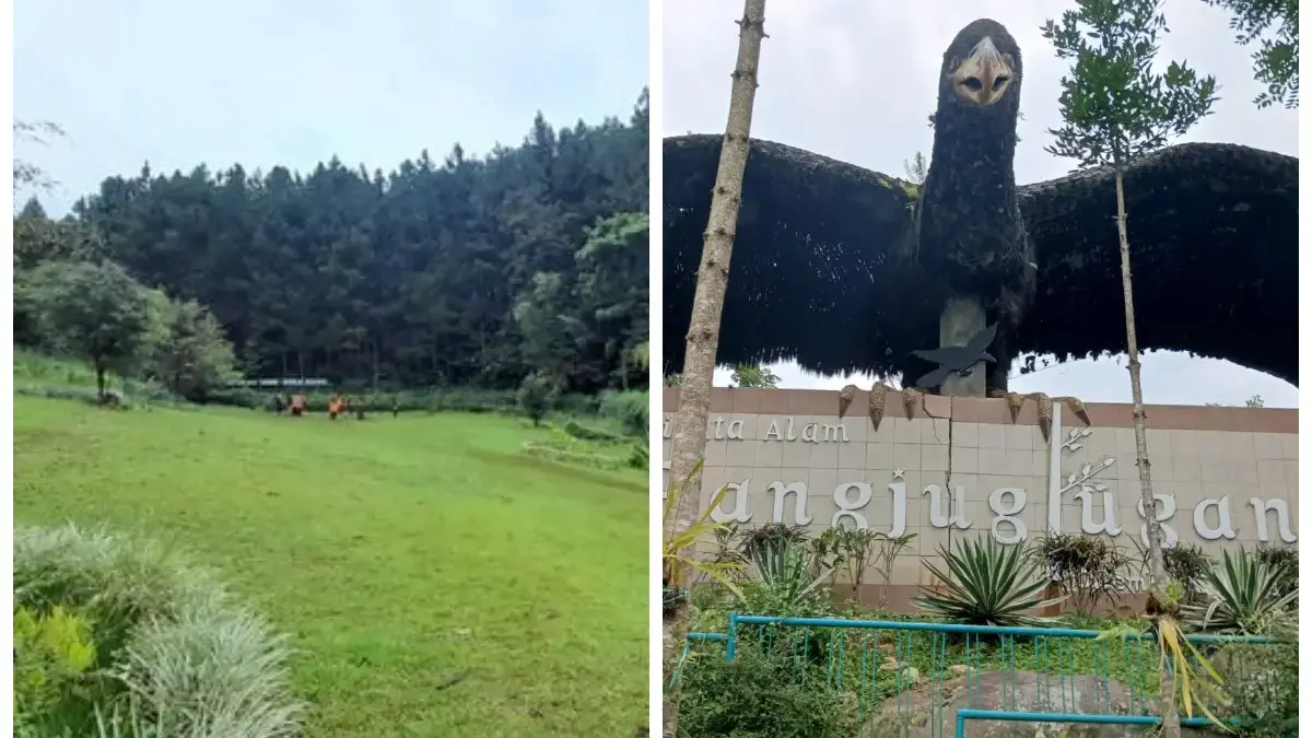Kampung Wisata Pangjugjugan Sumedang: Pesona Alam, Edukasi, dan Rekreasi Keluarga