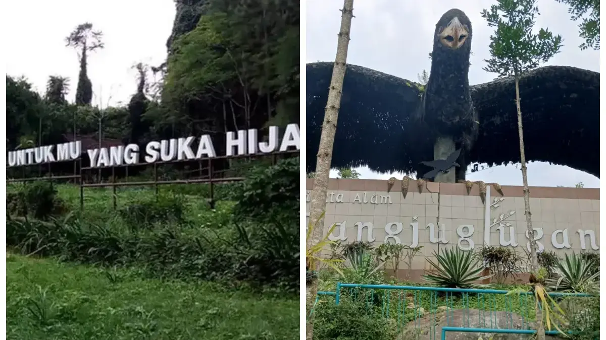 Mengintip Daya Tarik Kampung Wisata Pangjugjugan Sumedang yang Bikin Betah