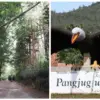 Update Harga Tiket Masuk Kampung Wisata Pangjugjugan Sumedang 2025