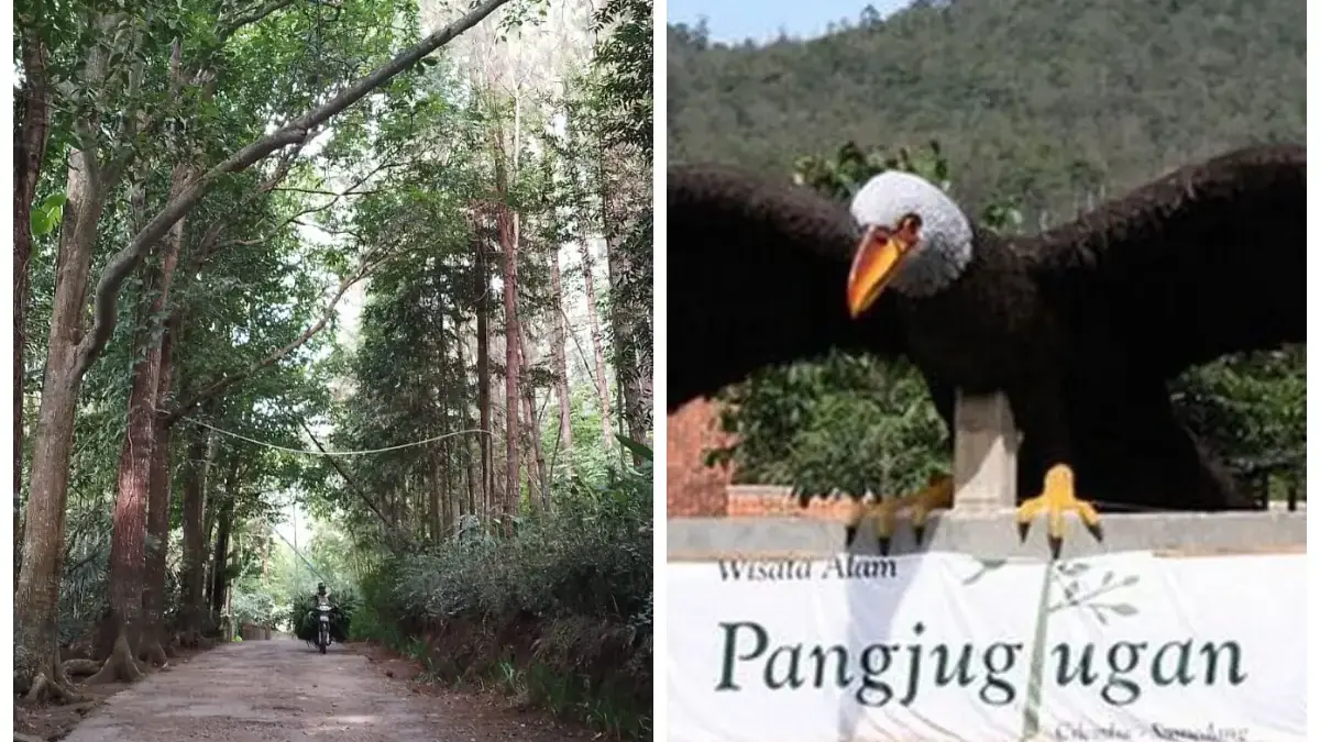 Update Harga Tiket Masuk Kampung Wisata Pangjugjugan Sumedang 2025