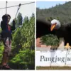 Keseruan di Wahana Kampung Wisata Pangjugjugan Sumedang