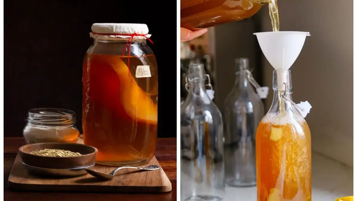Modifikasi Kombucha: Minuman Sehat Penjaga Gula DarahModifikasi Kombucha: Minuman Sehat Penjaga Gula Darah