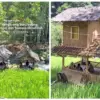 Saung Sungai Cihonje Sumedang: Wisata Alam Murah Meriah dengan Pesona Pedesaan