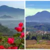 Gunung Tampomas Sumedang: Pesona Alam, Sejarah, dan Mitos Mistis yang Memikat