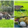Daya Tarik Saung Sungai Cihonje, Wisata Goceng di Sumedang