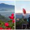 Jangan Salah, Ini Waktu Terbaik ke Gunung Tampomas Sumedang Biar Hiking Makin Asik