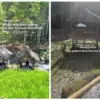 Harga Tiket Masuk Wisata Saung Sungai Cihonje Sumedang, Jauh Lebih Murah Dari Harga Seblak