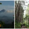 Harga Tiket Masuk Gunung Tampomas Sumedang Terbaru 2025