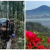 Keindahan Flora dan Fauna di Gunung Tampomas Sumedang yang Wajib Kamu Ketahui