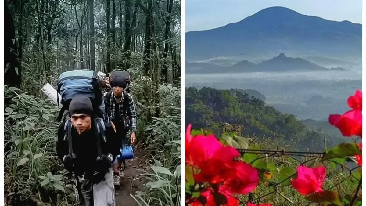 Keindahan Flora dan Fauna di Gunung Tampomas Sumedang yang Wajib Kamu Ketahui