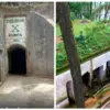 Mengungkap Mitos di Tahura Gunung Kunci: Antara Misteri dan Sejarah