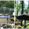 Sejarah Tahura Gunung Kunci: Dari Benteng Kolonial Hingga Destinasi Wisata