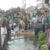 Lomba Tangkap Ikan di Selokan Jadi Primadona