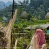Inilah Alasan Kenapa Khalana Villa Sumedang Menjadi Rekomendasi Penginapan Terbaik di Sumedang