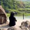 Gem Tersembunyi Sumedang yang Lagi Viral, Ini Dia Daya Tarik Situ Sengon Paseh Sumedang