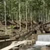 5 Keunggulan Wisata Kabuyutan Nabawadatala Sumedang yang Jarang Kamu Ketahui